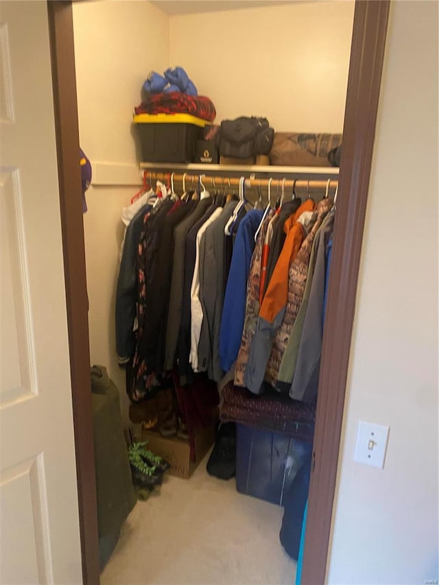 spacious closet with carpet flooring