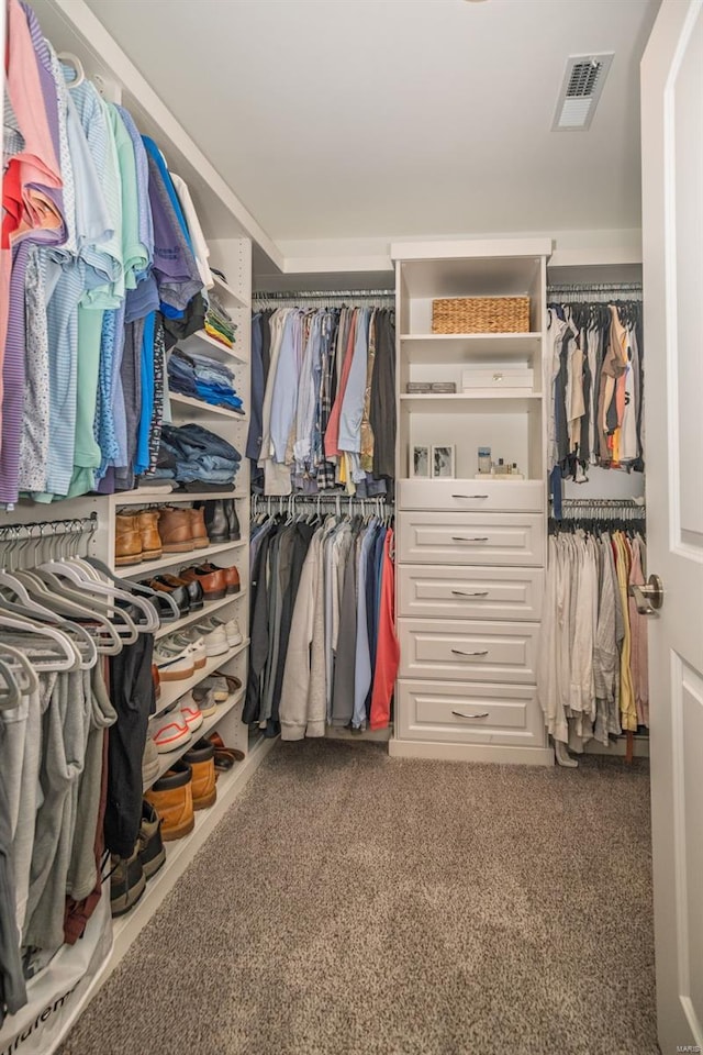 spacious closet featuring visible vents and carpet flooring