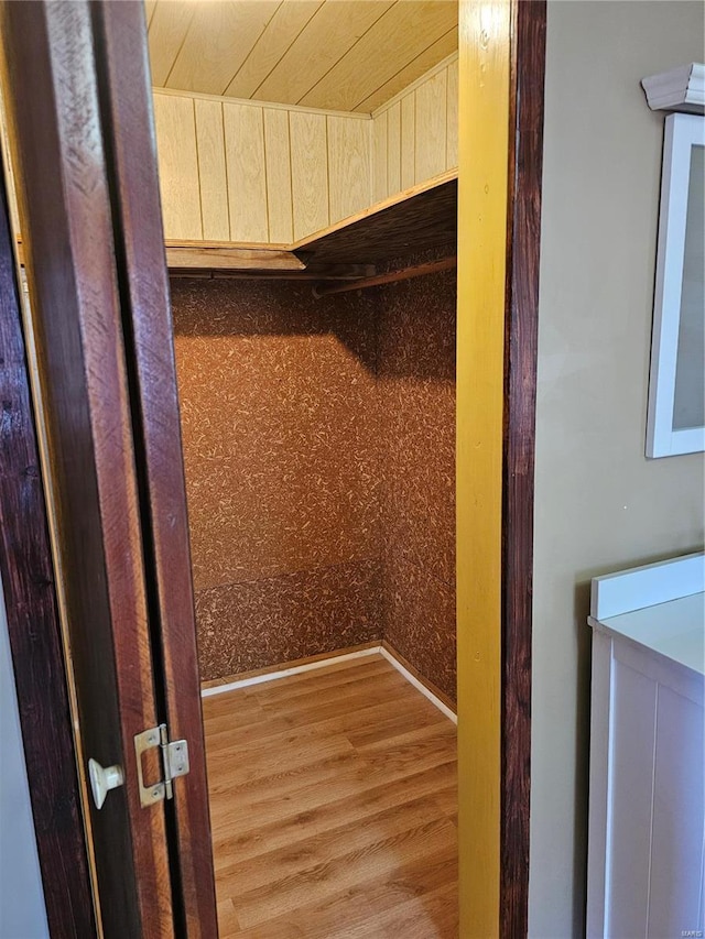 walk in closet featuring wood finished floors