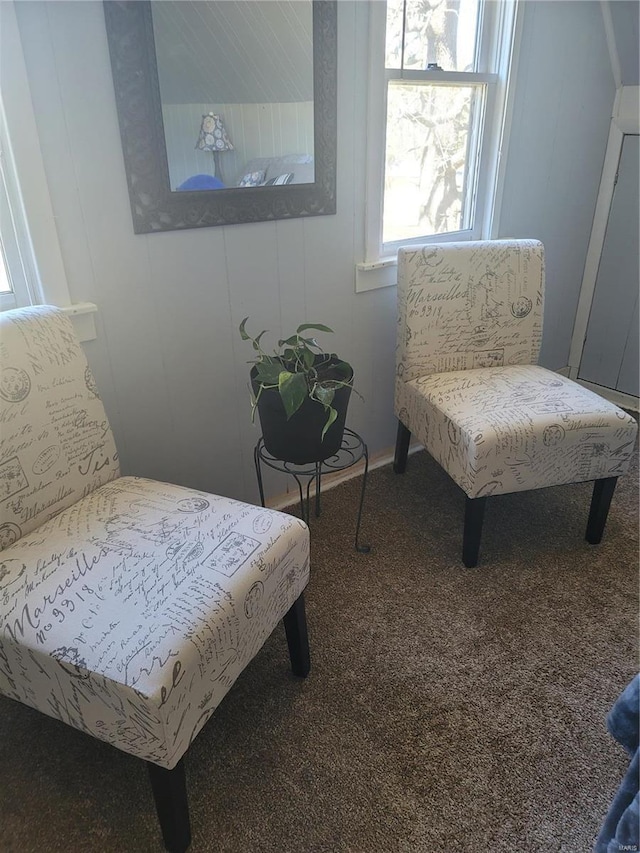 living area with carpet floors