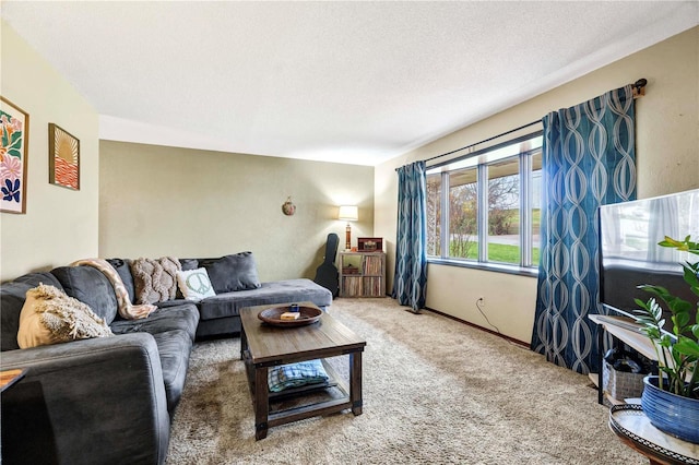 living area featuring a textured ceiling and carpet