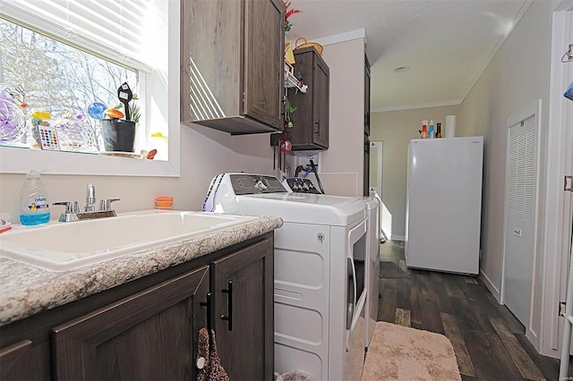 washroom featuring cabinet space, washer and clothes dryer, ornamental molding, dark wood-style flooring, and a sink