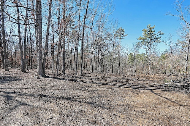 view of local wilderness featuring a view of trees