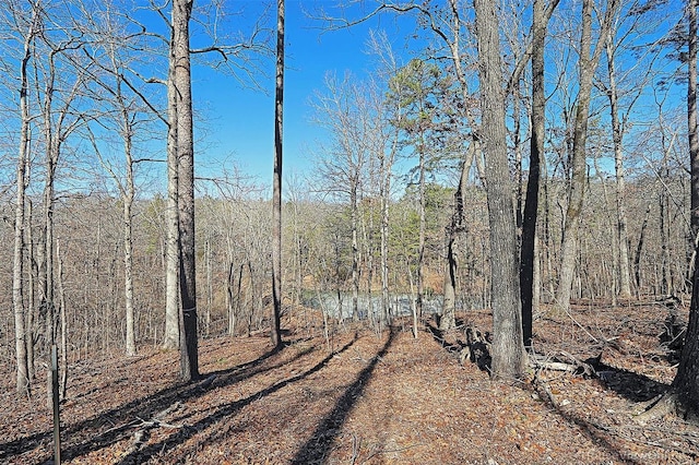 view of road featuring a wooded view