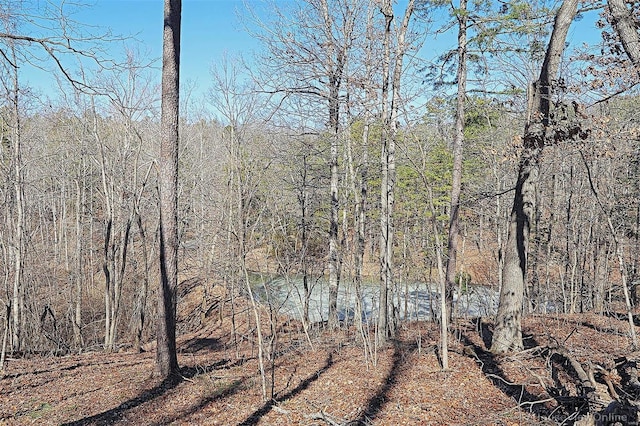 view of landscape featuring a view of trees