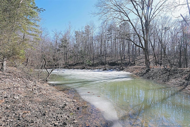 view of water feature with a forest view