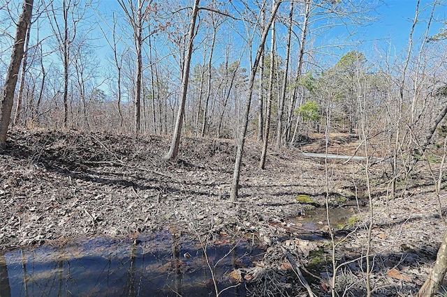 view of nature featuring a forest view