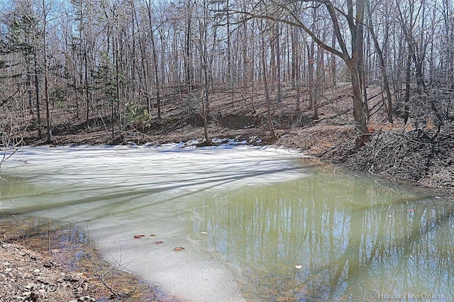 view of water feature