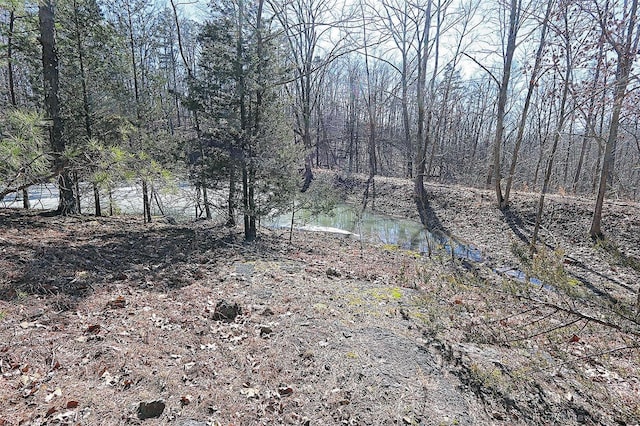 view of landscape with a wooded view