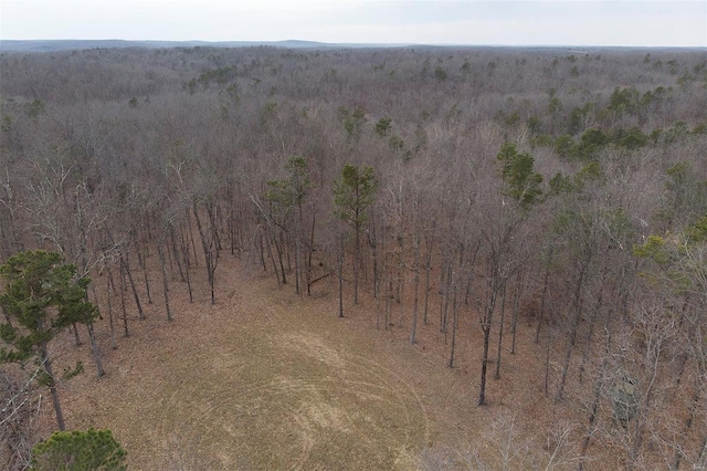 drone / aerial view featuring a rural view and a wooded view