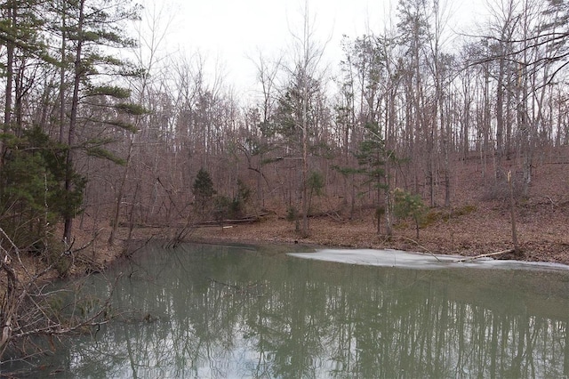 view of water feature