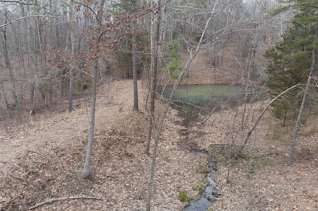 view of local wilderness with a water view and a forest view