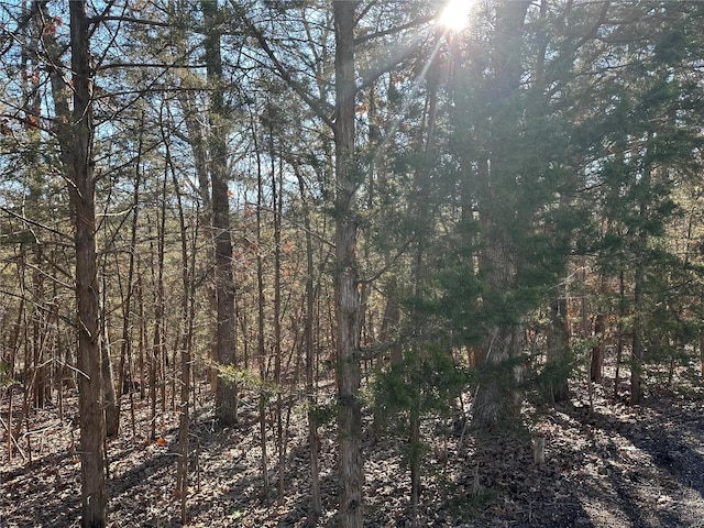 0 W Forest Ln, Owensville MO, 65066 land for sale