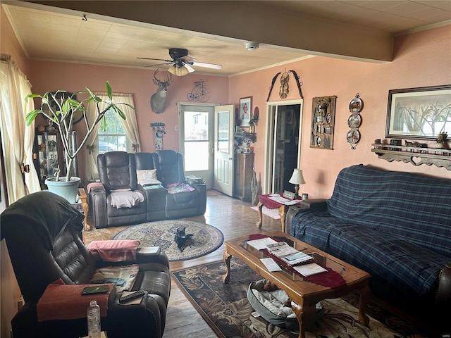 living area featuring crown molding and wood finished floors