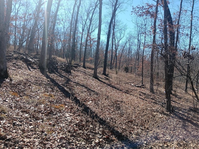 view of local wilderness