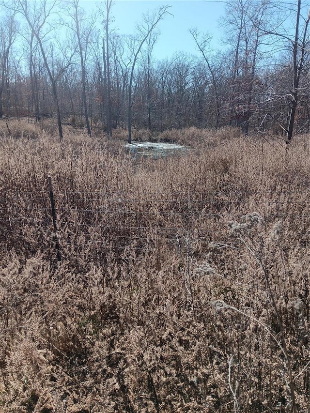 view of landscape featuring a forest view