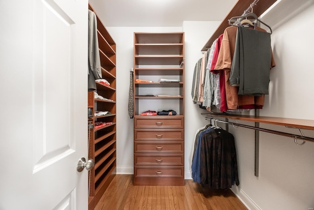 walk in closet with light wood-style flooring