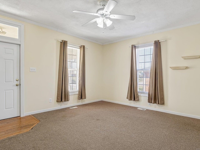 empty room featuring carpet floors, crown molding, and a textured ceiling