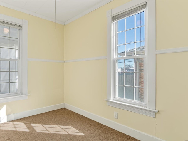 spare room with a wealth of natural light, carpet, crown molding, and baseboards