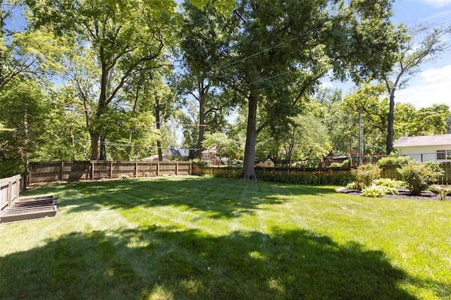 view of yard featuring a fenced backyard