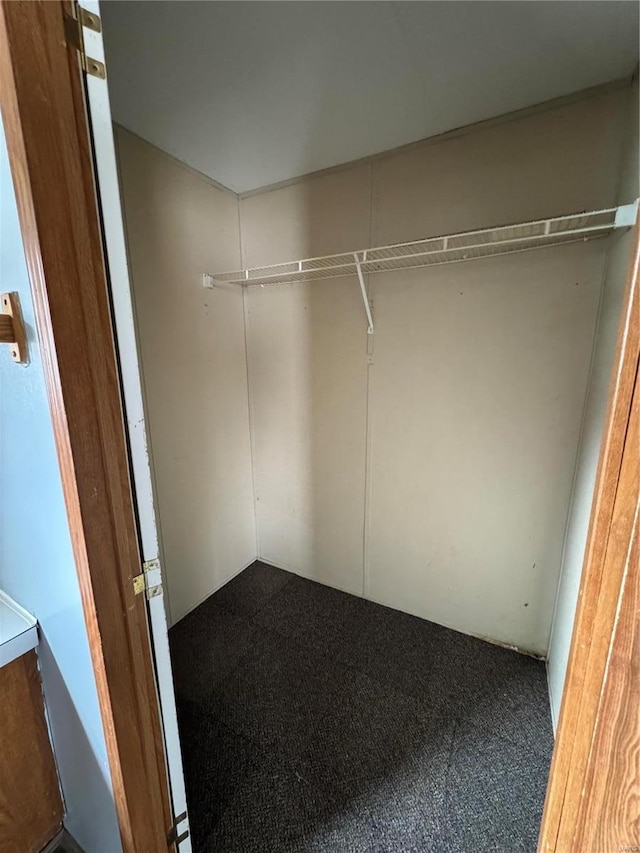 walk in closet with carpet