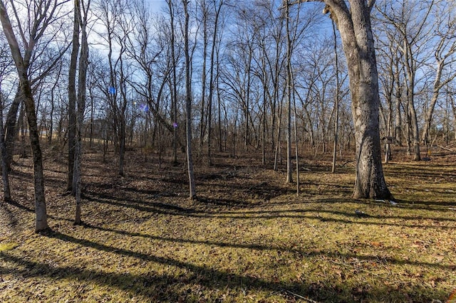 view of local wilderness