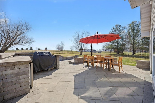 view of patio / terrace with outdoor dining area, area for grilling, and a fenced backyard