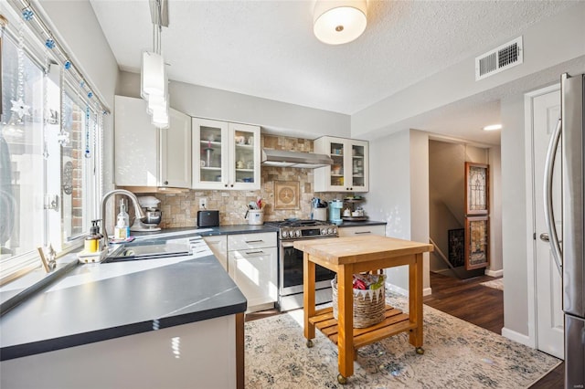 kitchen featuring under cabinet range hood, a sink, visible vents, appliances with stainless steel finishes, and tasteful backsplash