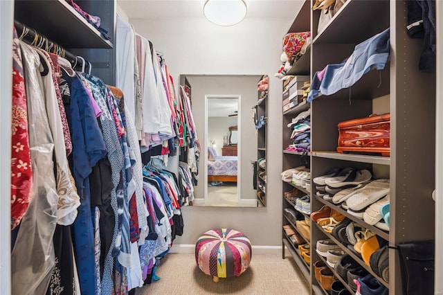 spacious closet featuring carpet