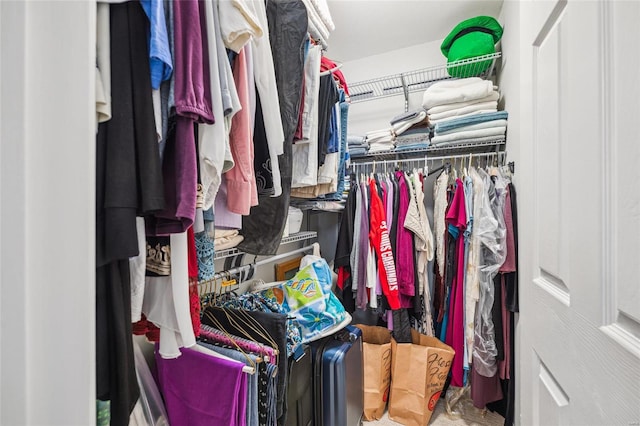 view of spacious closet