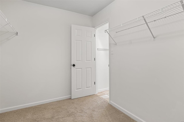 spacious closet with light carpet