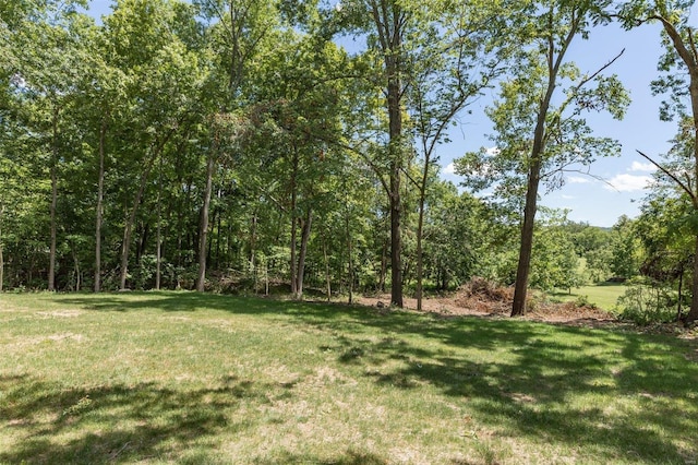 view of yard with a view of trees