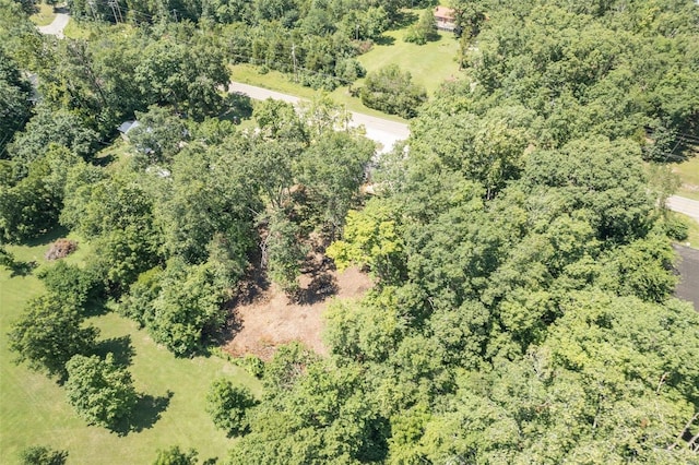 aerial view with a view of trees