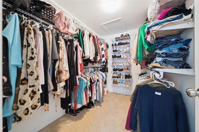 walk in closet featuring attic access and light colored carpet