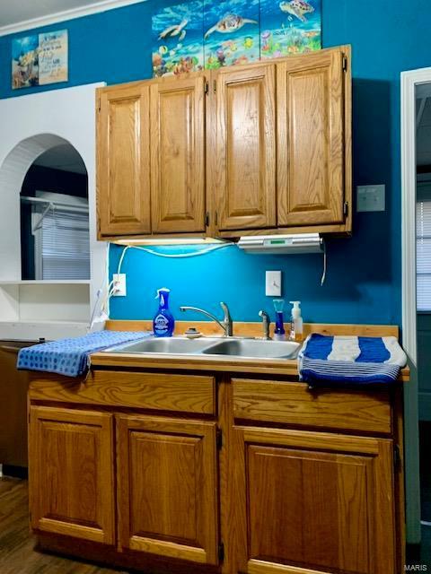 kitchen featuring dark wood-style floors, crown molding, and a sink