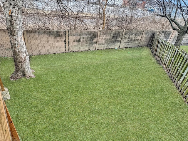 view of yard with a fenced backyard