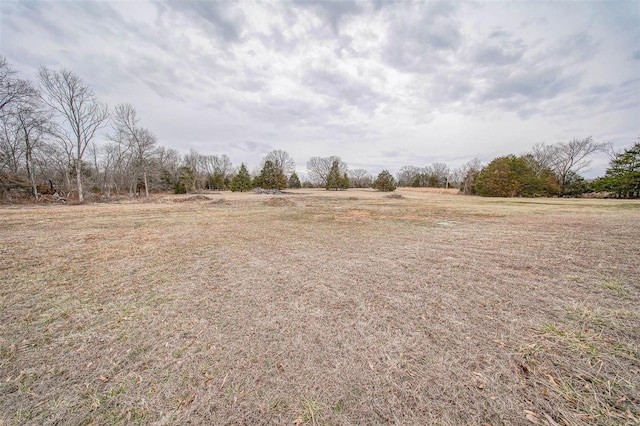 view of yard featuring a rural view