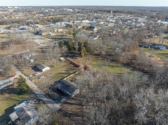 drone / aerial view