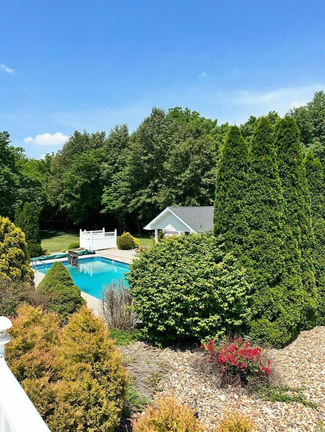 pool with a diving board