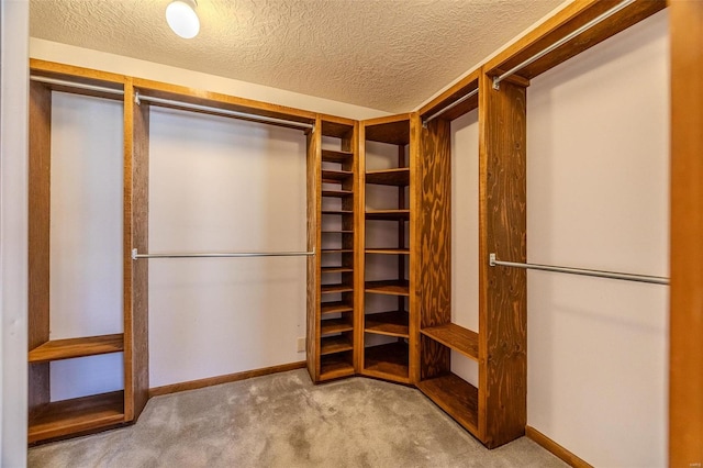 spacious closet featuring carpet flooring