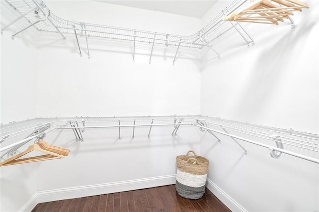 spacious closet featuring dark wood-type flooring