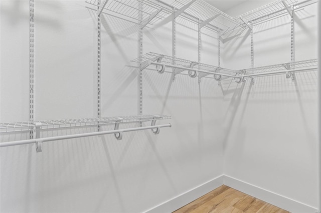 spacious closet featuring light wood finished floors