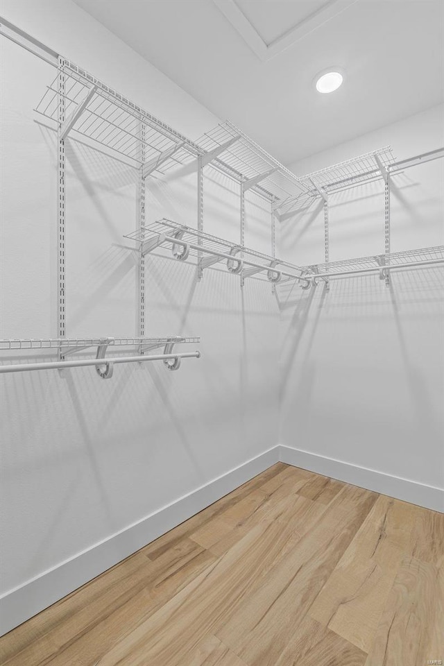 walk in closet with light wood-type flooring