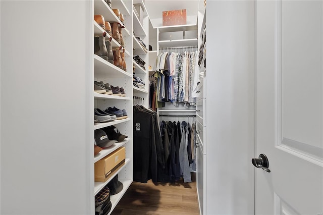 walk in closet featuring wood finished floors