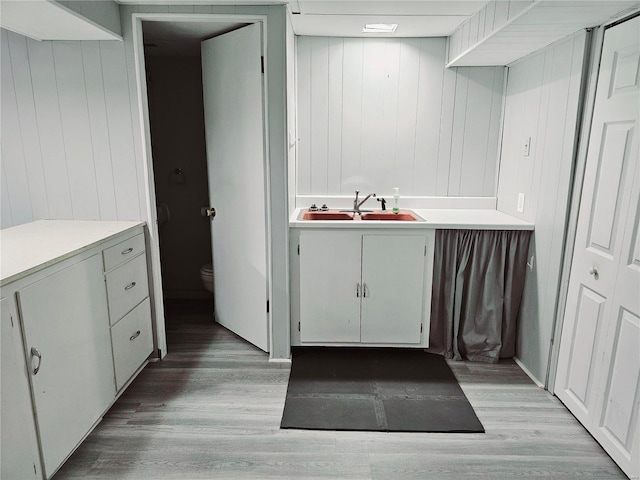 bathroom with toilet, a sink, and wood finished floors