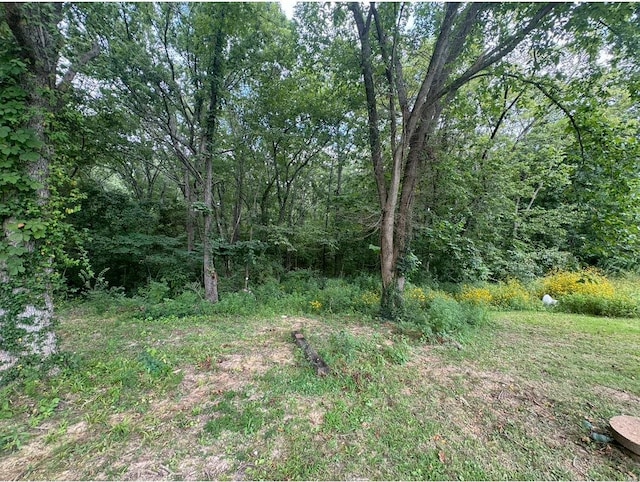 view of nature with a wooded view