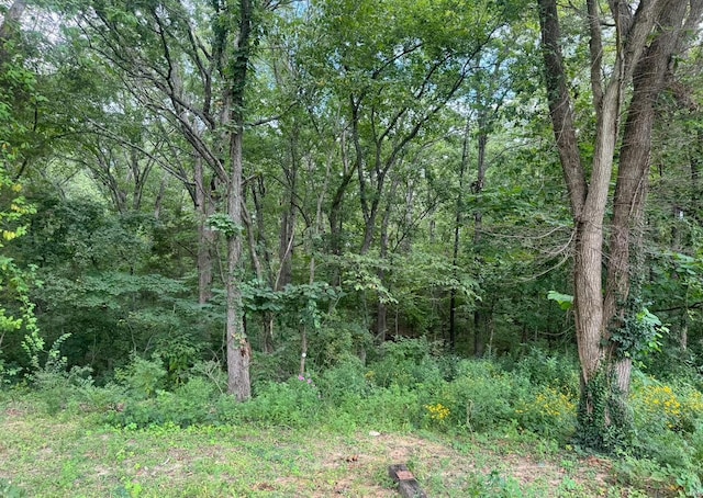 view of nature featuring a forest view