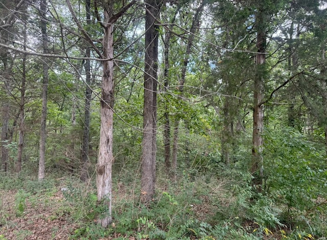 view of local wilderness with a wooded view