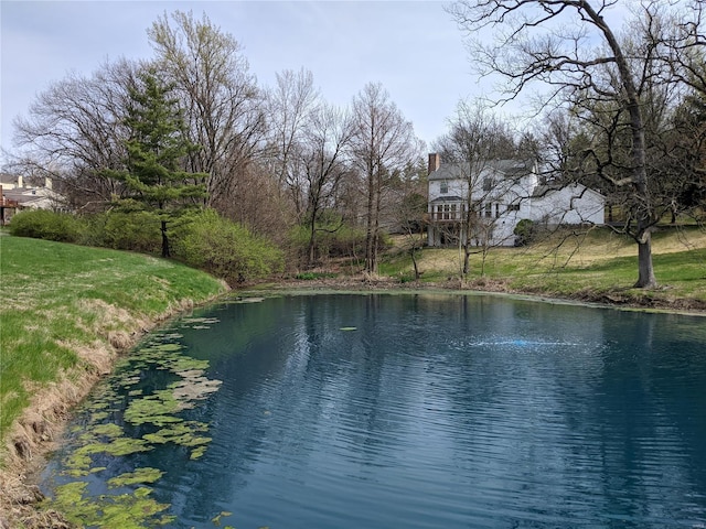 view of water feature