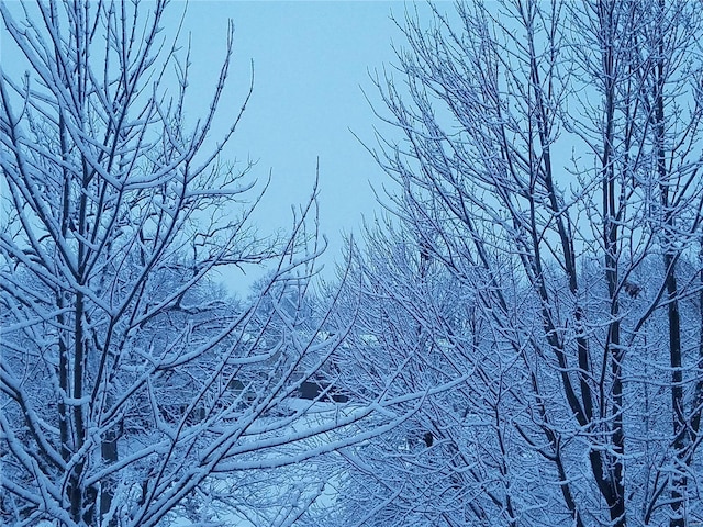 view of snow covered land